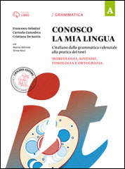 A. Morfologia, sintassi, fonologia e ortografia