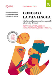 B. Punteggiatura, lessico, comunicazione, testo e abilità