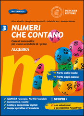 Algebra + Geometria 3 + Verso la prova invalsi