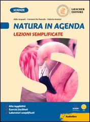 Lezioni semplificate