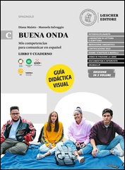 C. Guía didáctica visual