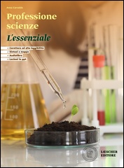 L'essenziale